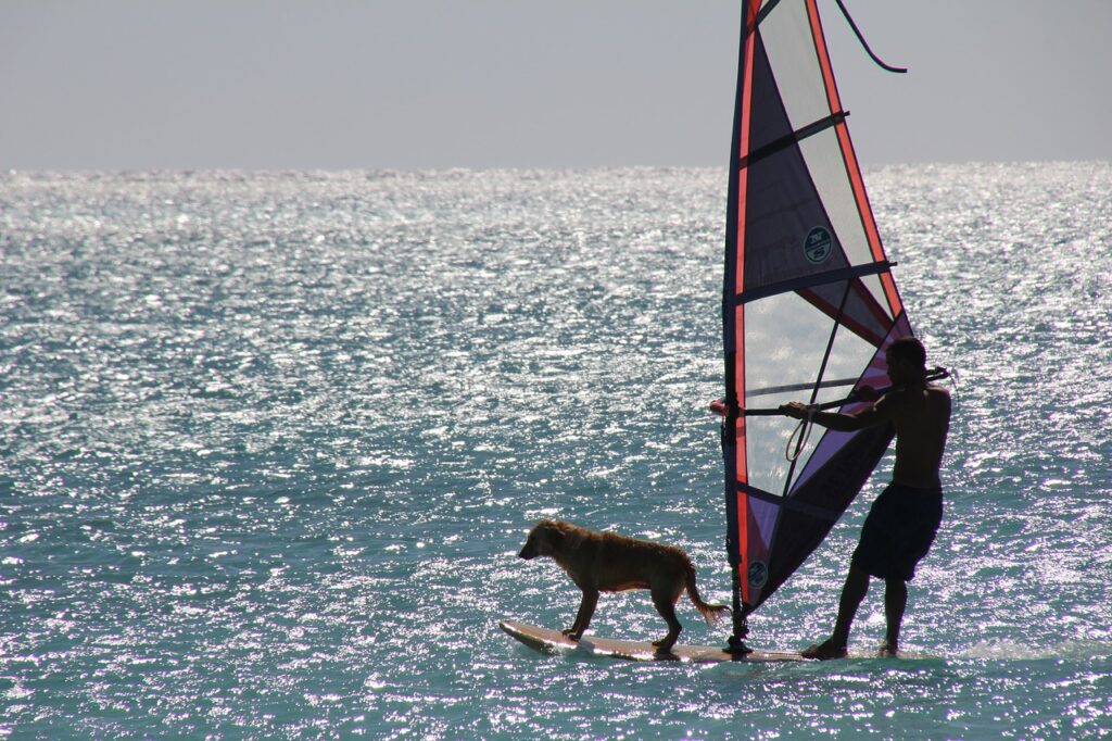 surf sport water sports 1829606
